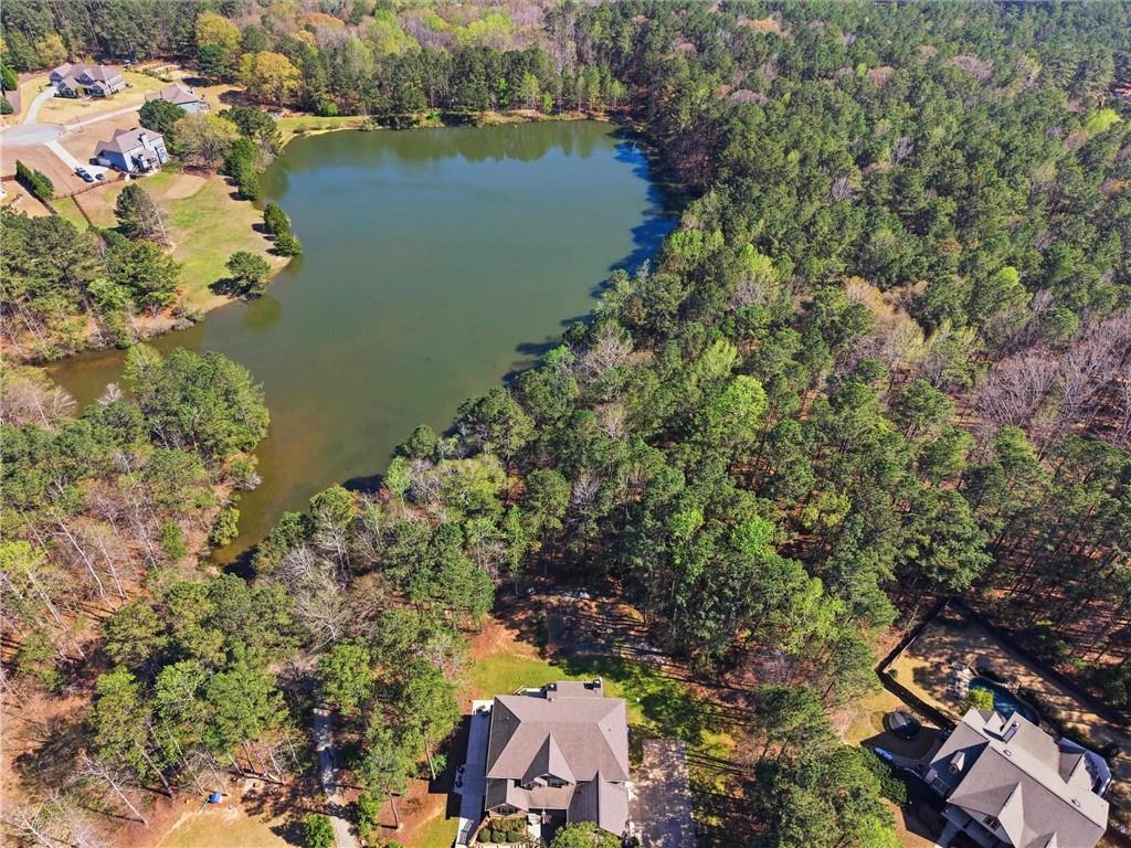 37 Farmstead Way Senoia, GA 30276 - Photo 7 of 121 an aerial view of house with yard and lake view