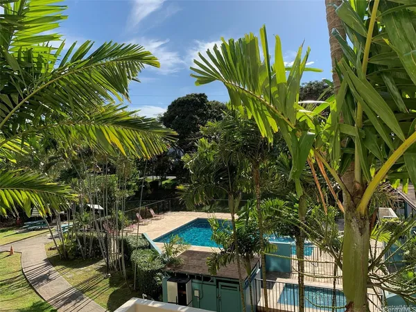 a view of a palm plant that is in front of a building
