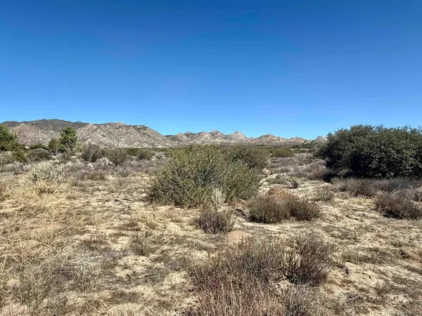 a view of a dry yard