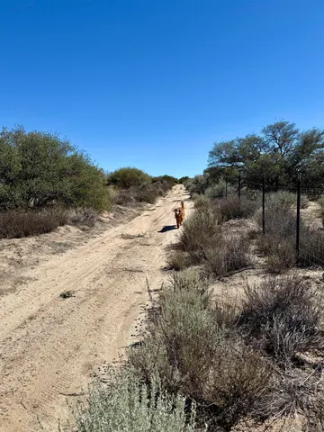 a view of mountain view with lots of trees