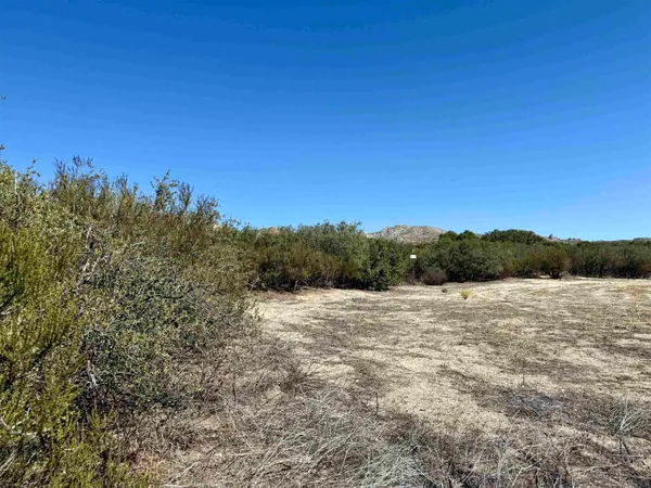 a view of an ocean beach