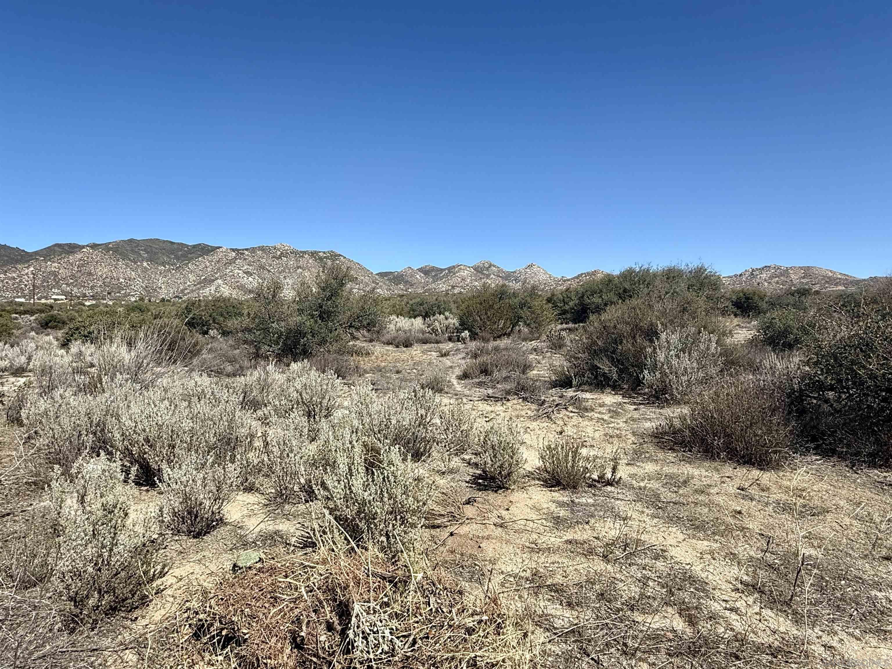 0 Mcconamara Drive Ranchita, CA 92066 - Photo 6 of 15 a view of a yard