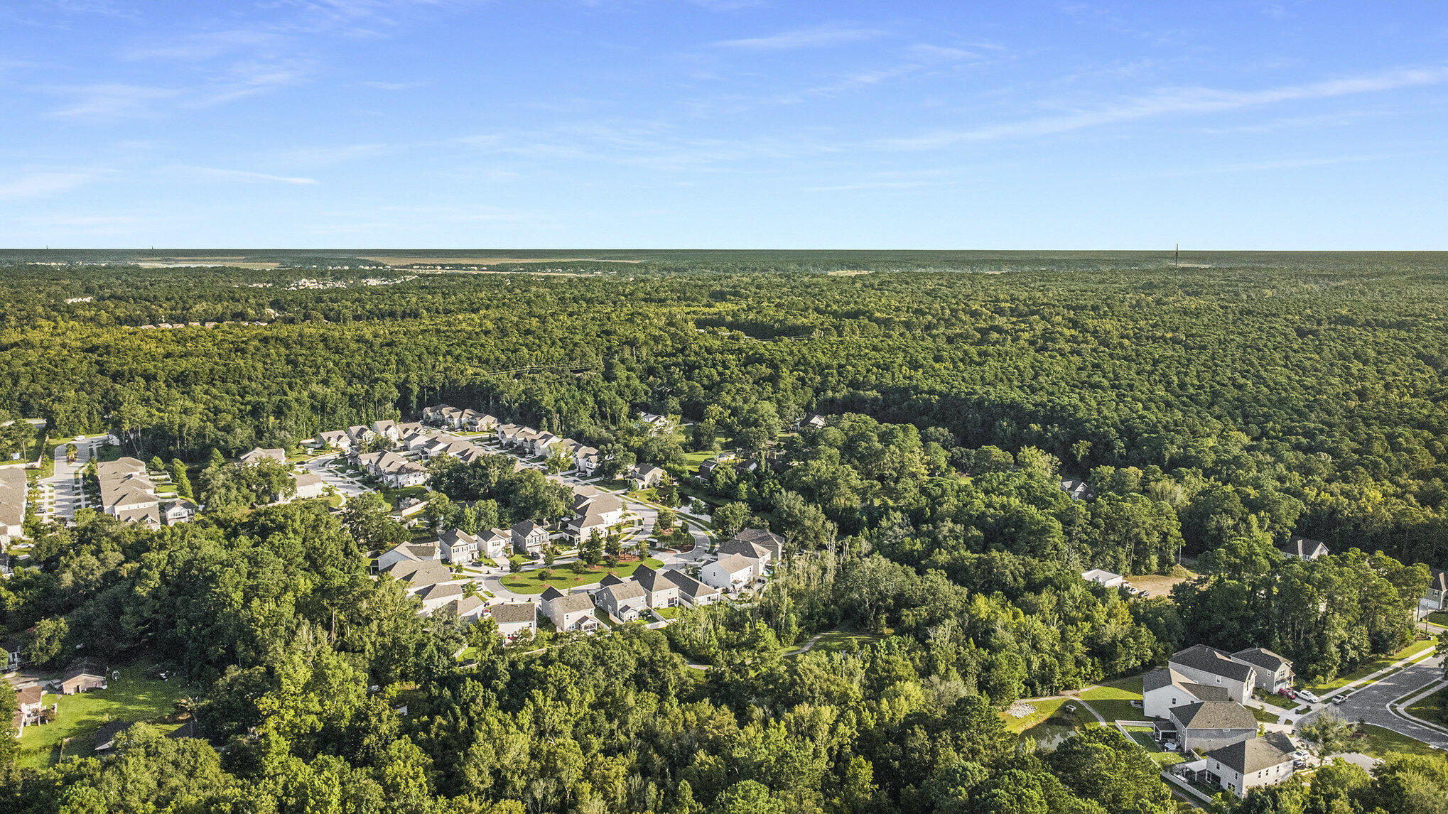 973 Bellas Lane Awendaw, SC 29429 - Photo 31 of 39 file_728