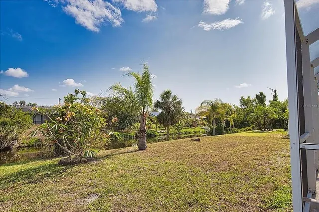 a view of a yard with a trees