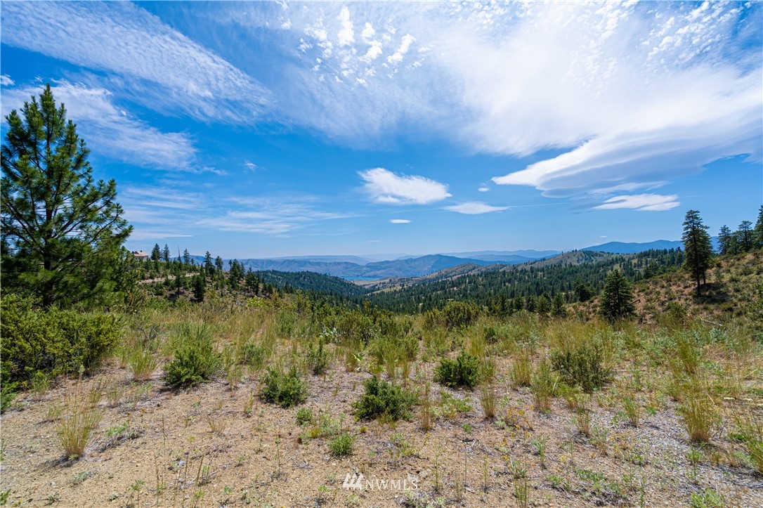A A Swanson Gulch Road Manson, WA 98831 - Photo 36 of 37 Gallery Image 36