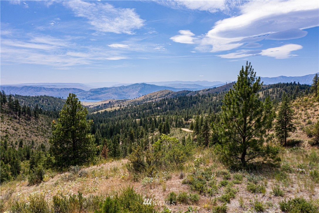A A Swanson Gulch Road Manson, WA 98831 - Photo 6 of 37 Gallery Image 6