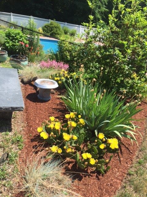 17 Coventry Road Atkinson, NH 03811 - Photo 35 of 38