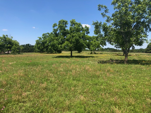 -henry Prairie Rd Henry Prairie Road, Unit COUNTYROAD Franklin, TX 77856 - Photo 14 of 17