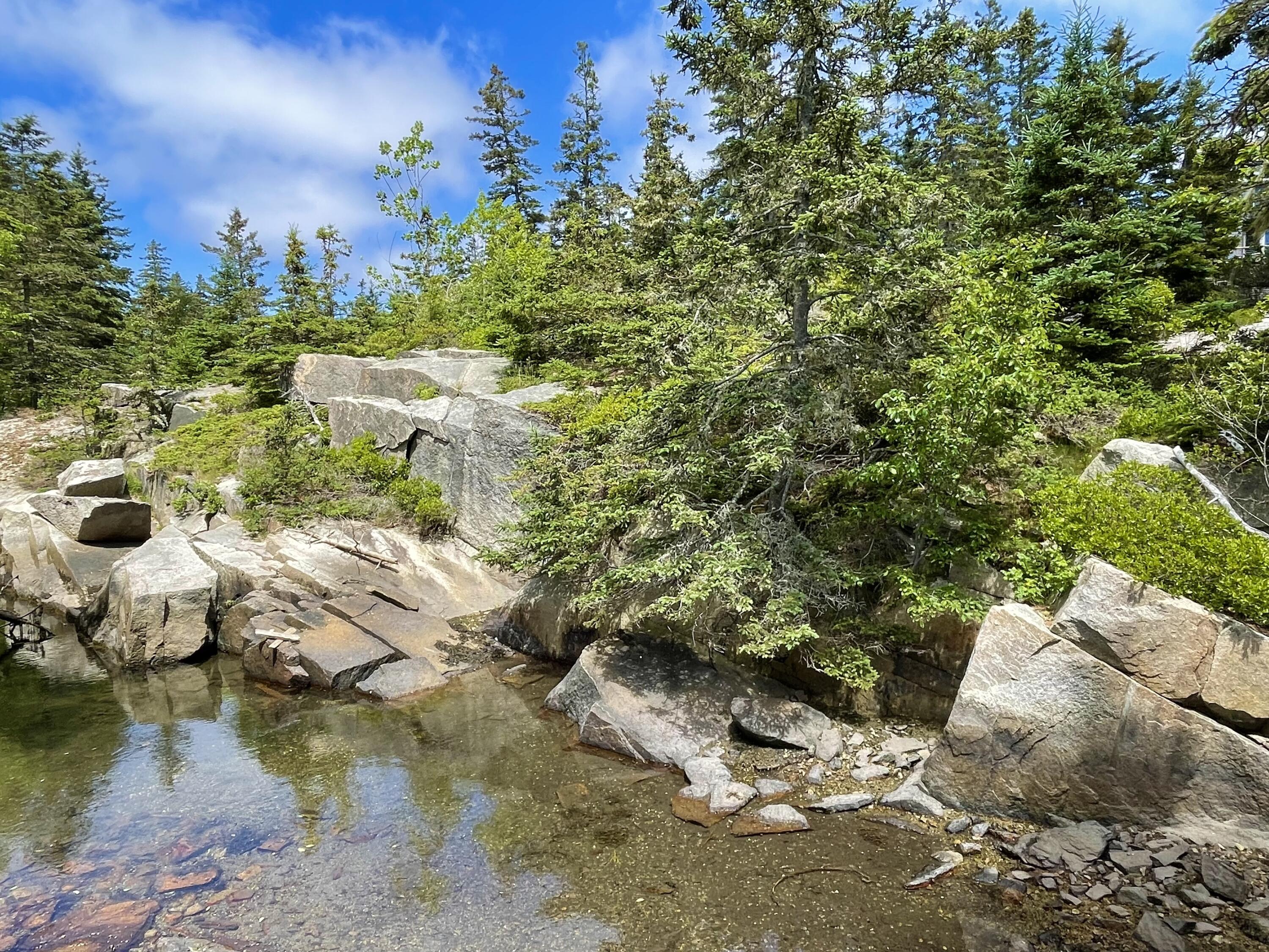 7 Blair Road Vinalhaven, ME 04863 - Photo 38 of 53 IMG_6988
