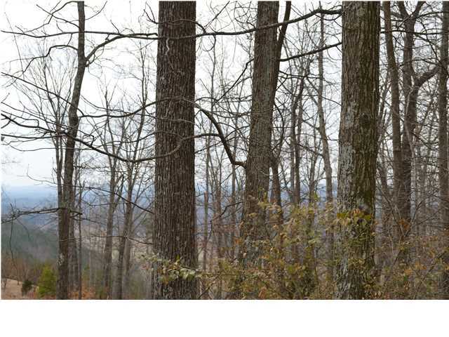 362 Mill Hamlet Road Northwest Charleston, TN 37310 - Photo 36 of 36 Additional Photo