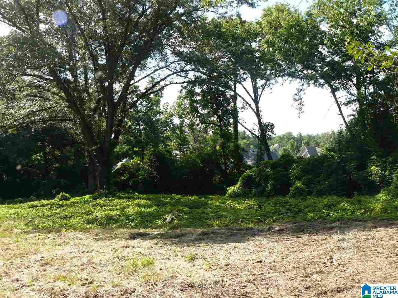 South Shades Crest Road Helena, AL 35022 - Photo 6 of 11