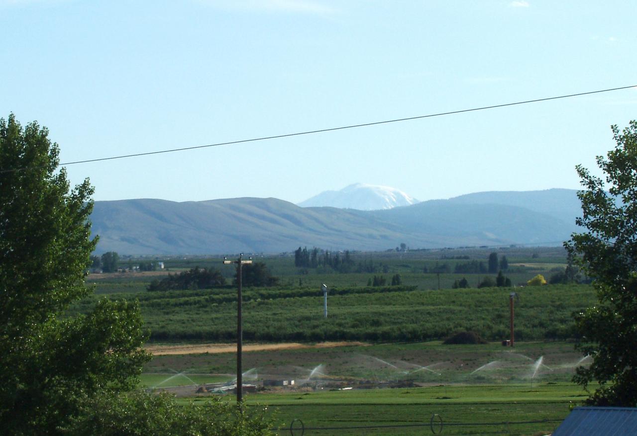 14840 Summitview Ext Road Yakima, WA 98908 - Photo 2 of 19 a view of a mountain from a yard