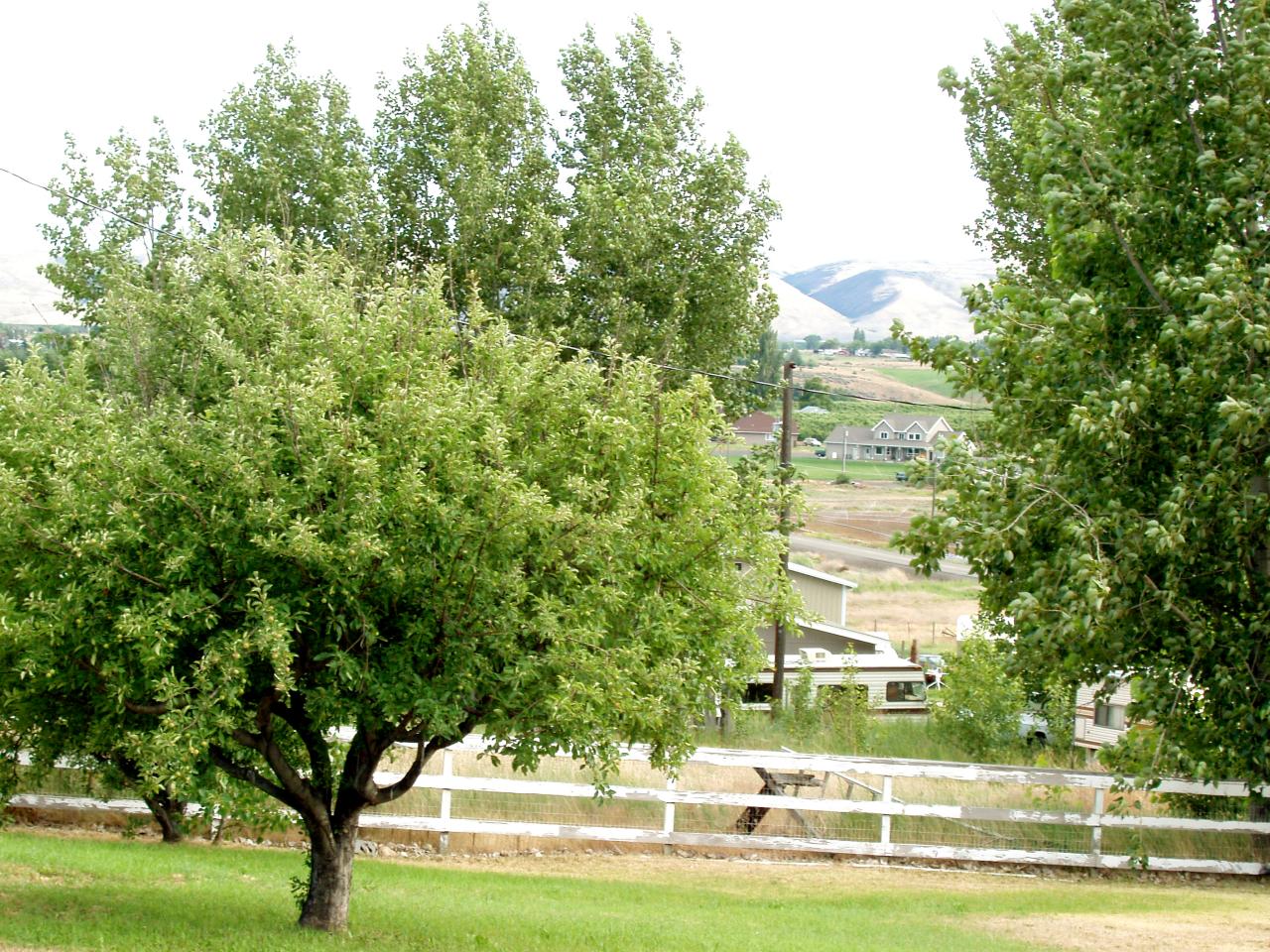 14840 Summitview Ext Road Yakima, WA 98908 - Photo 3 of 19 a front view of a house with a yard