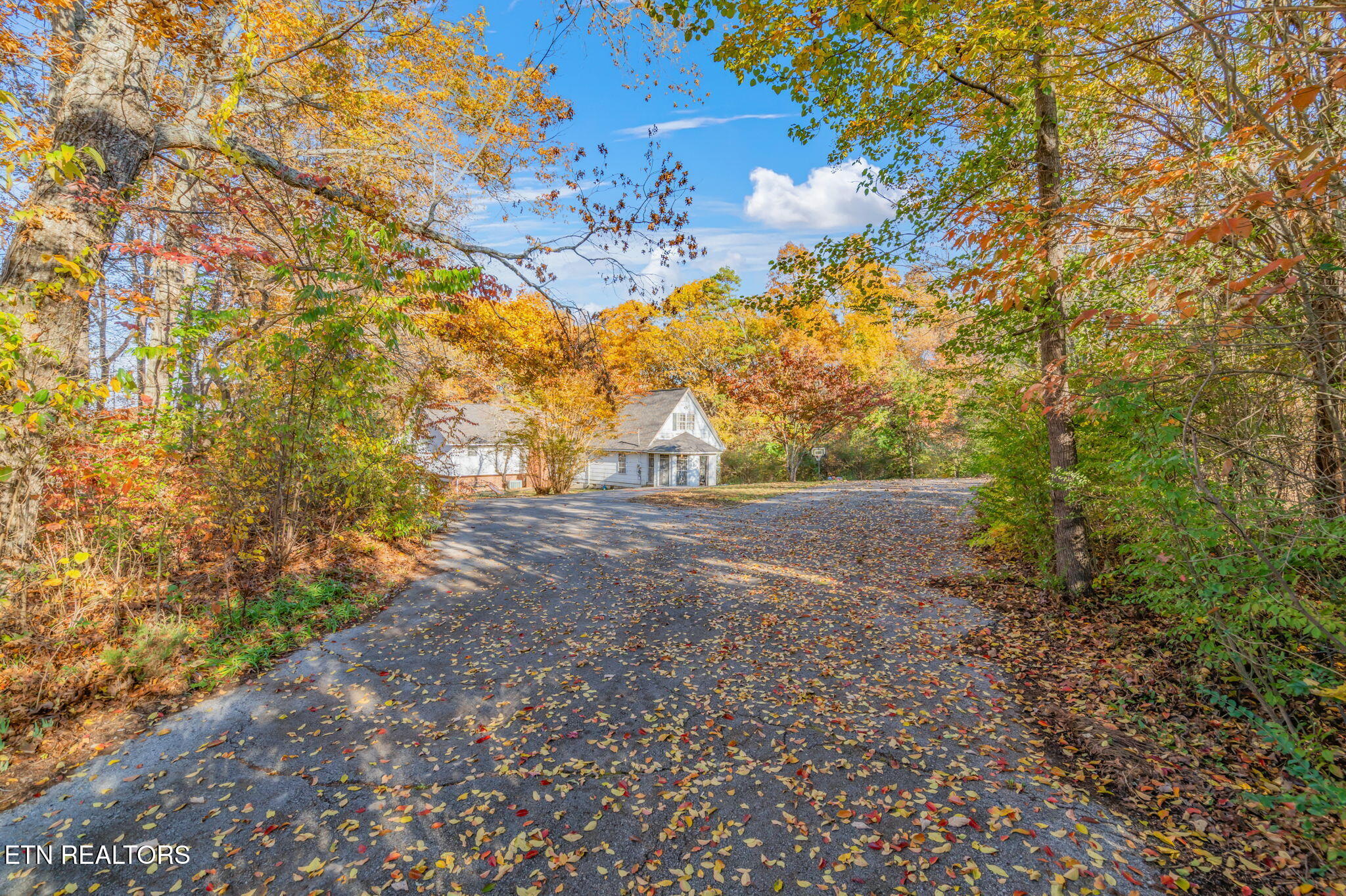 3607 Airport Road Rockwood, TN 37854 - Photo 2 of 55 2-web-or-mls-3607 Airport Road-57