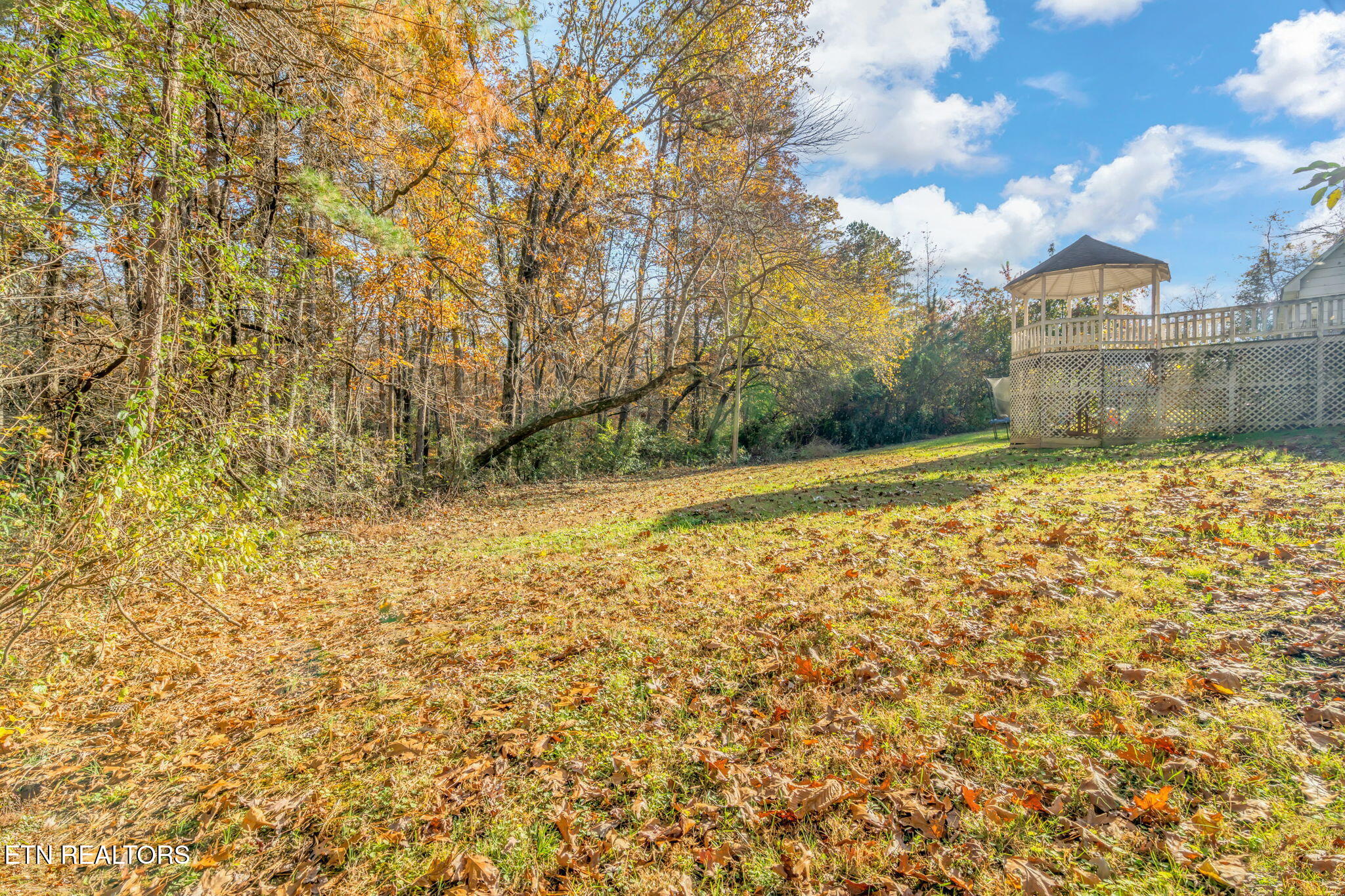 3607 Airport Road Rockwood, TN 37854 - Photo 4 of 55 4-web-or-mls-3607 Airport Road-44