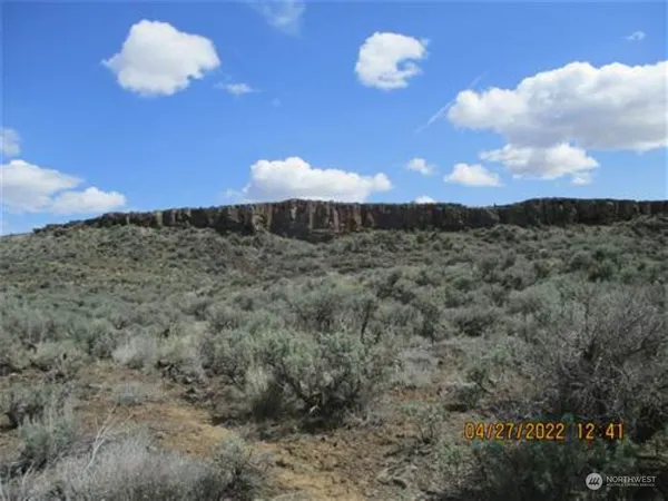 a view of a dry yard