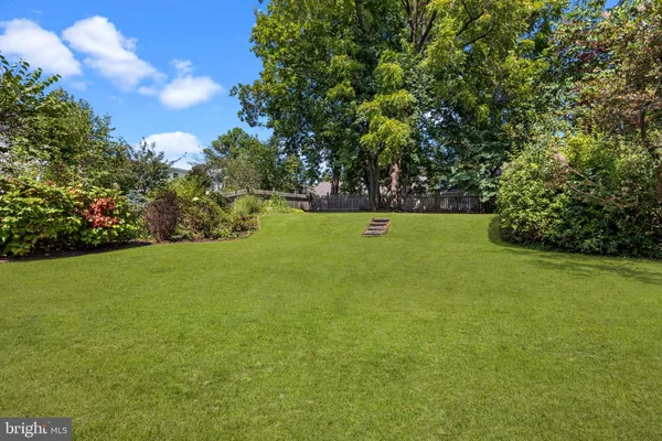 a view of a field with plants and trees in the background