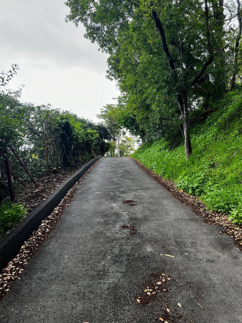 758 Loma Redwood City, CA 94062 - Photo 12 of 16 a view of a road with a yard