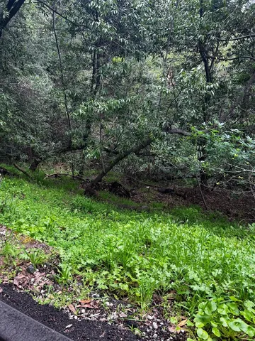 $528,000 | 758 Loma, Redwood City, CA 94062