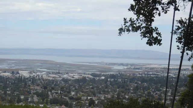 a view of a green field