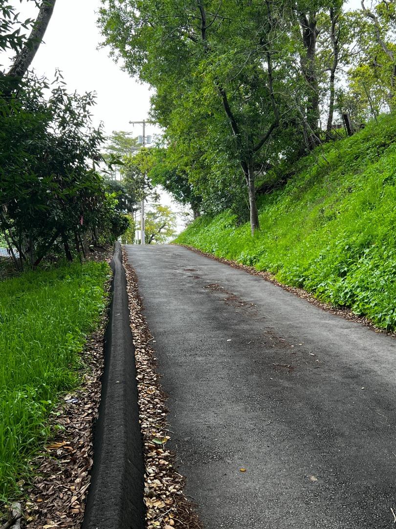 758 Loma Redwood City, CA 94062 - Photo 10 of 16 a view of street with small yard
