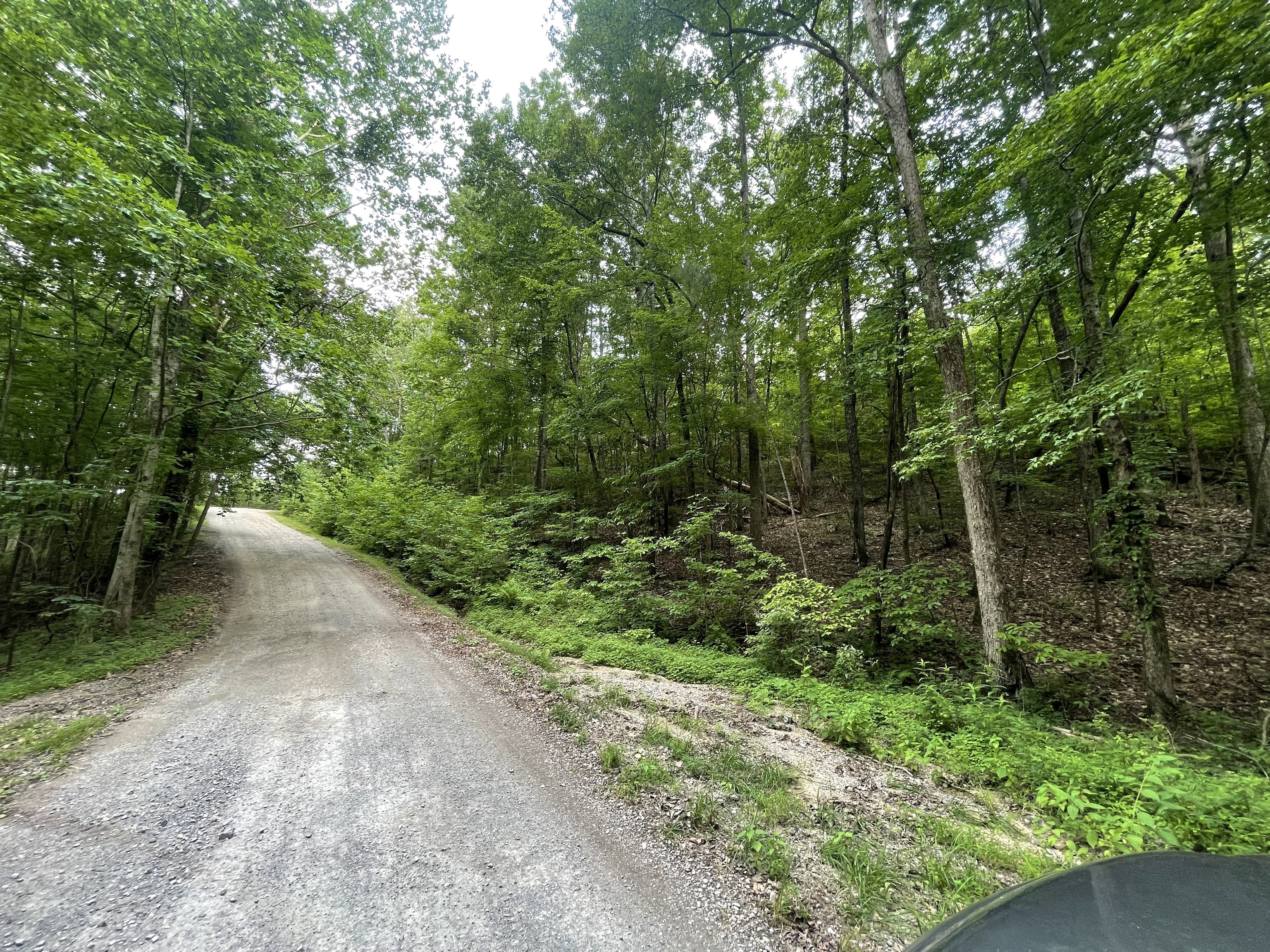 1094 Mayfield Lane Northeast Ranger, GA 30734 - Photo 2 of 32 a view of a forest with trees