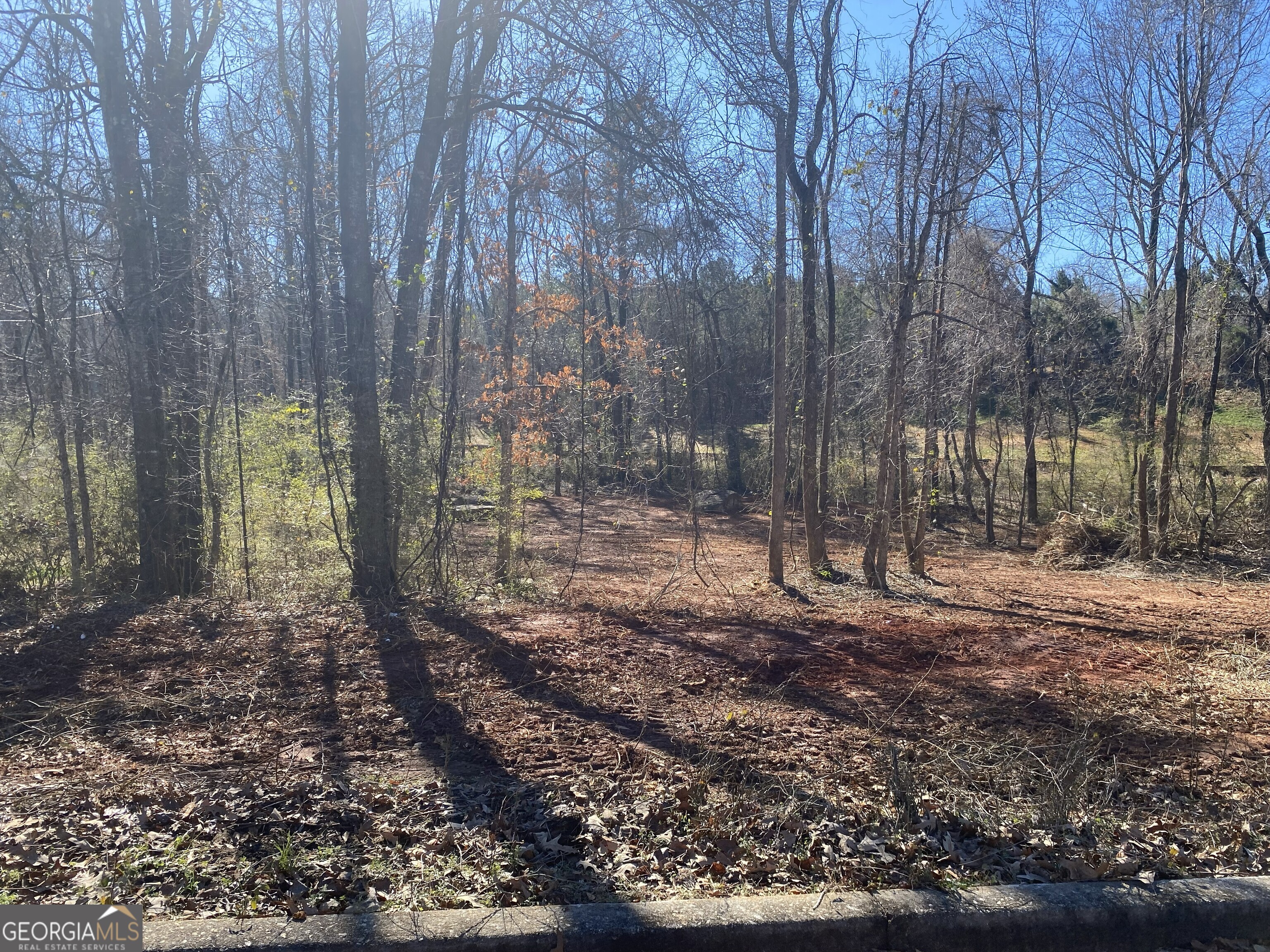 0 Hannah Street, Unit LOT 1 Barnesville, GA 30204 - Photo 1 of 7 a backyard of a house with lots of green space