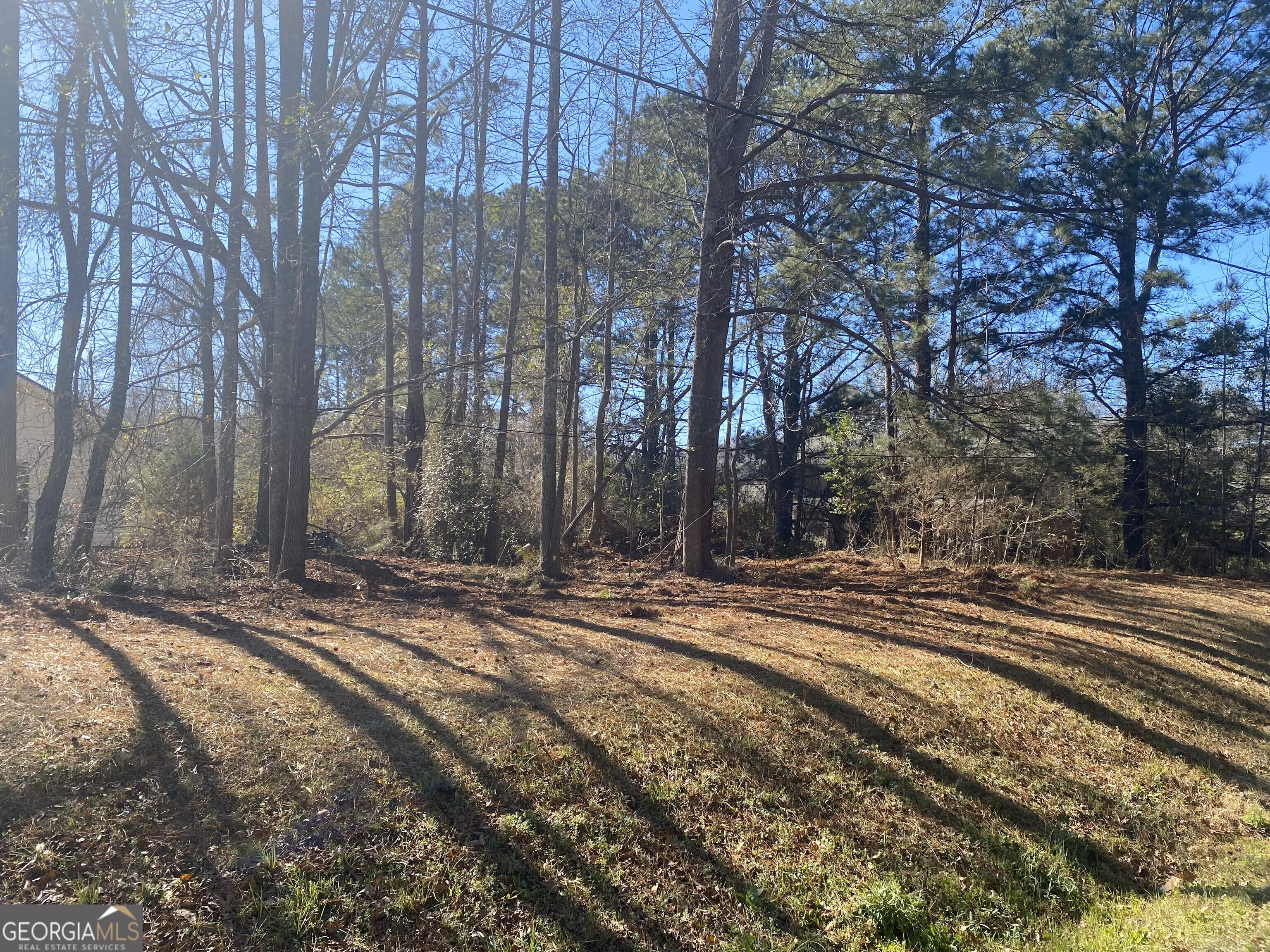 0 Hannah Street, Unit LOT 1 Barnesville, GA 30204 - Photo 6 of 7 a view of a yard with large trees