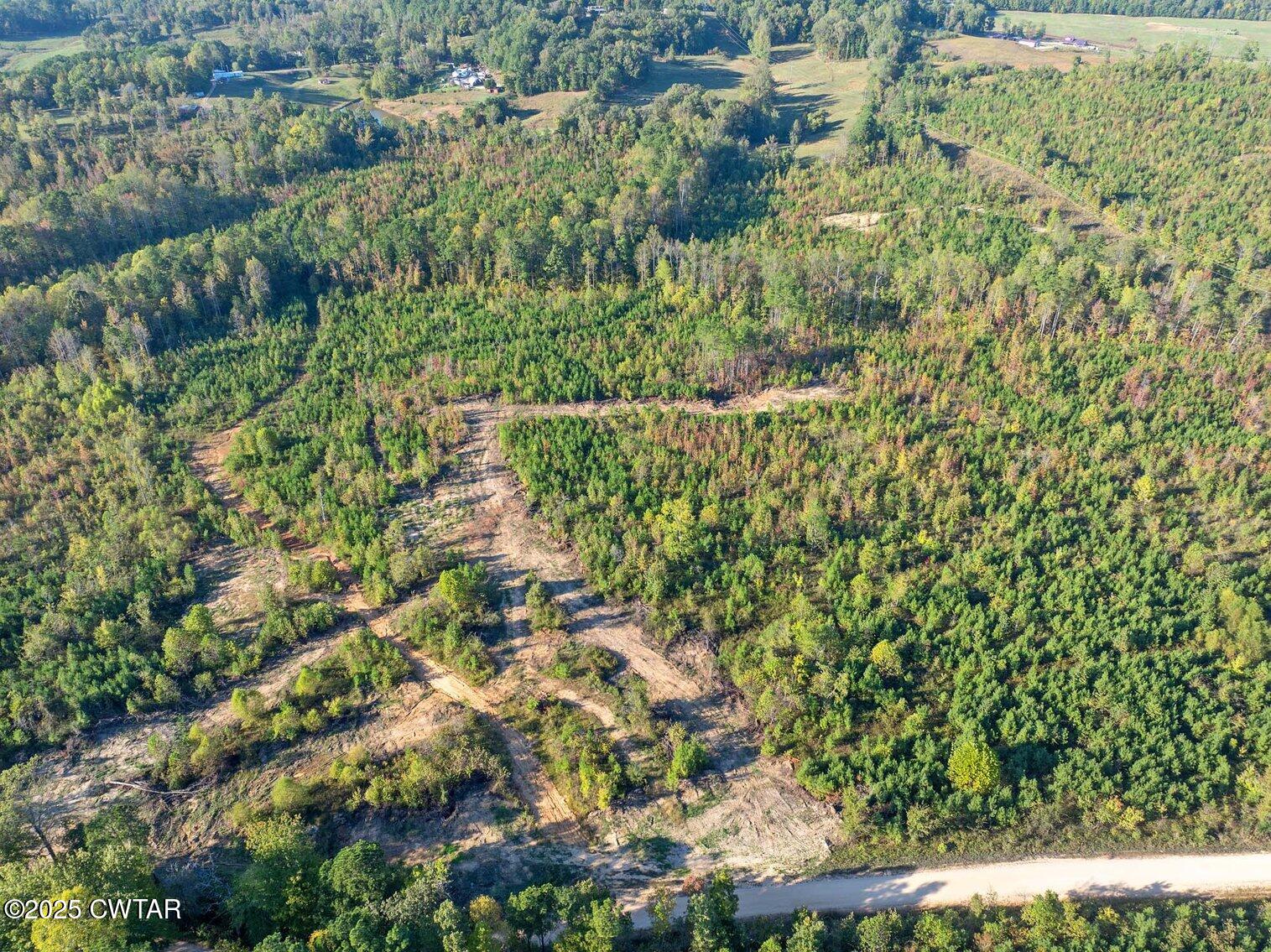 5 Tucker Road Decaturville, TN 38329 - Photo 2 of 3 a view of a garden