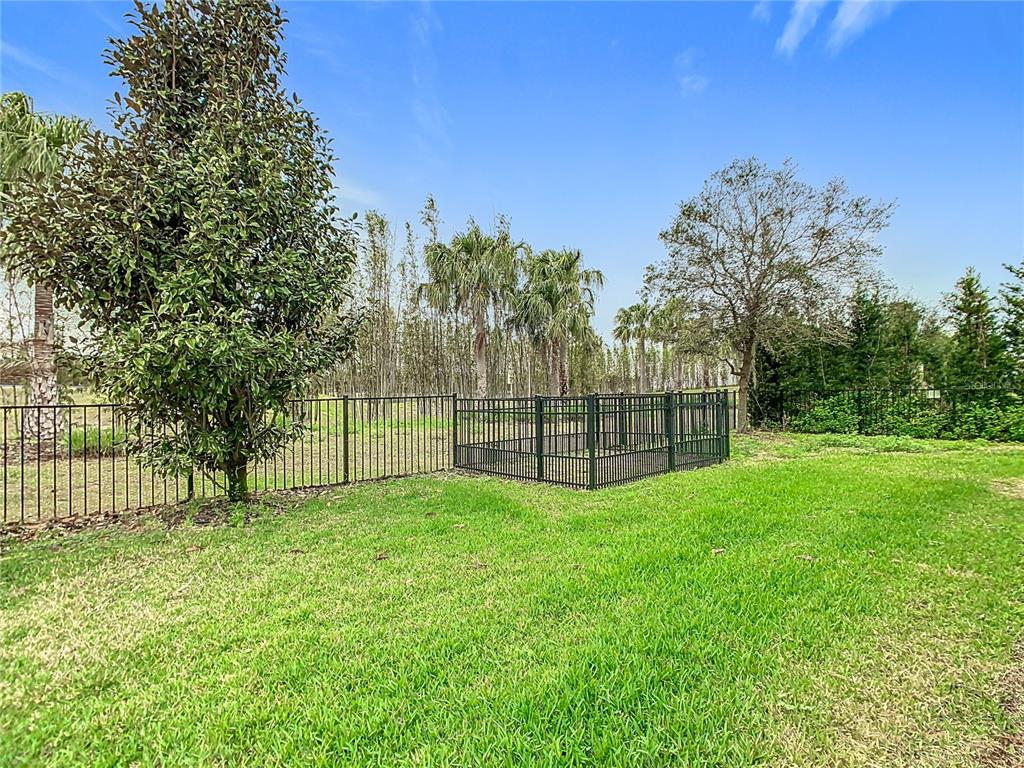 8325 Topsail Place Winter Garden, FL 34787 - Photo 48 of 74 a view of a yard with wooden fence