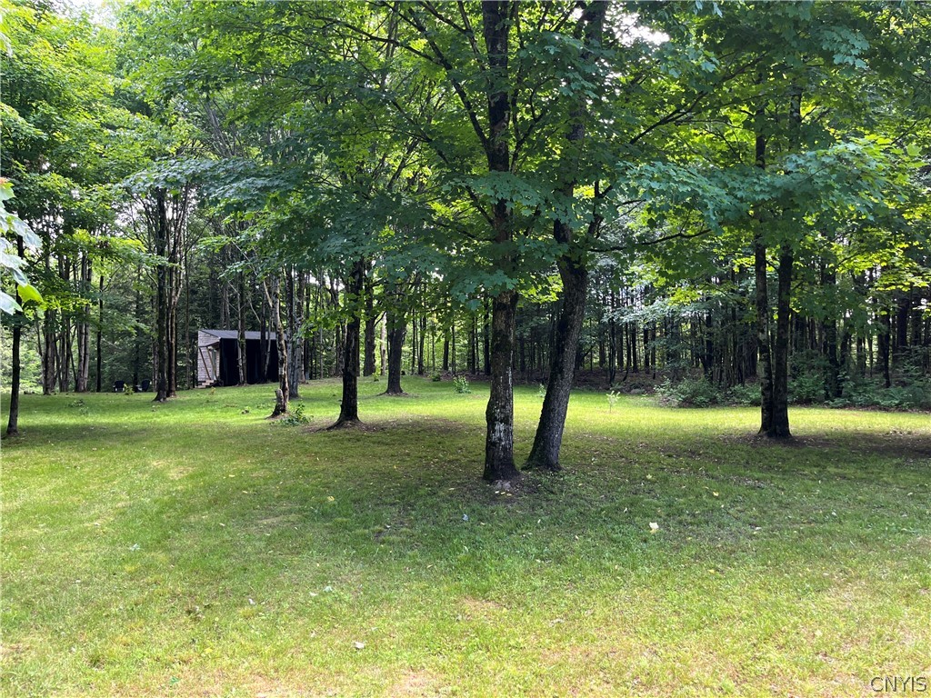 52 Mc Caw Road Redfield, NY 13437 - Photo 14 of 38