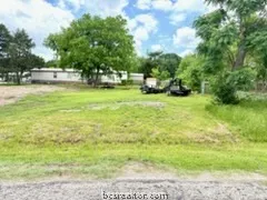 a view of yard with tree