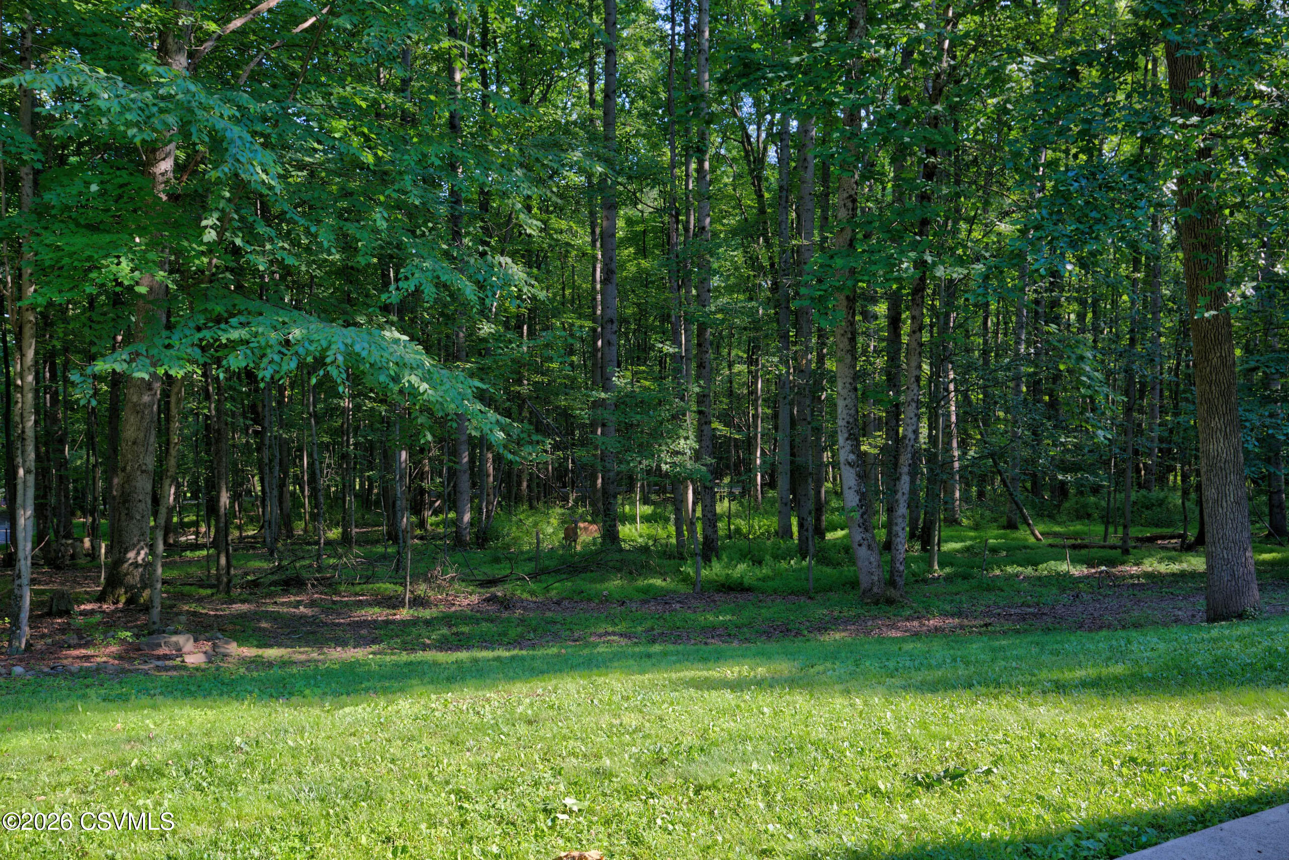 405 Dornsife Road Northumberland, PA 17857 - Photo 50 of 55