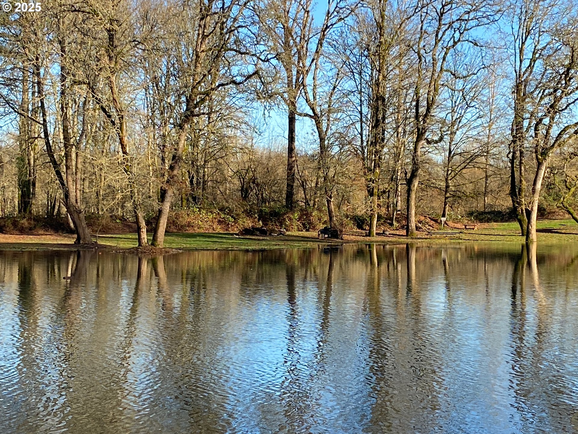 6300 Corvallis Road Independence, OR 97351 - Photo 47 of 48 a view of a lake with trees