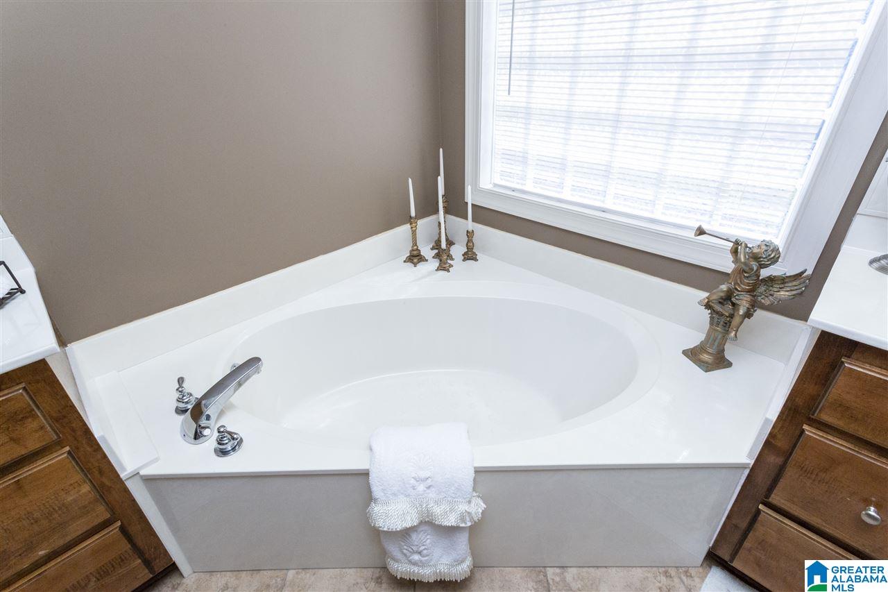 280 Trellis Circle Springville, AL 35146 - Photo 29 of 45