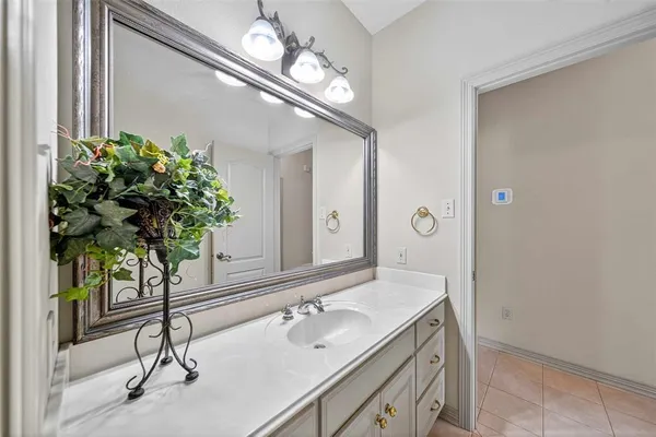 a bathroom with a granite countertop sink a large mirror and a potted plant