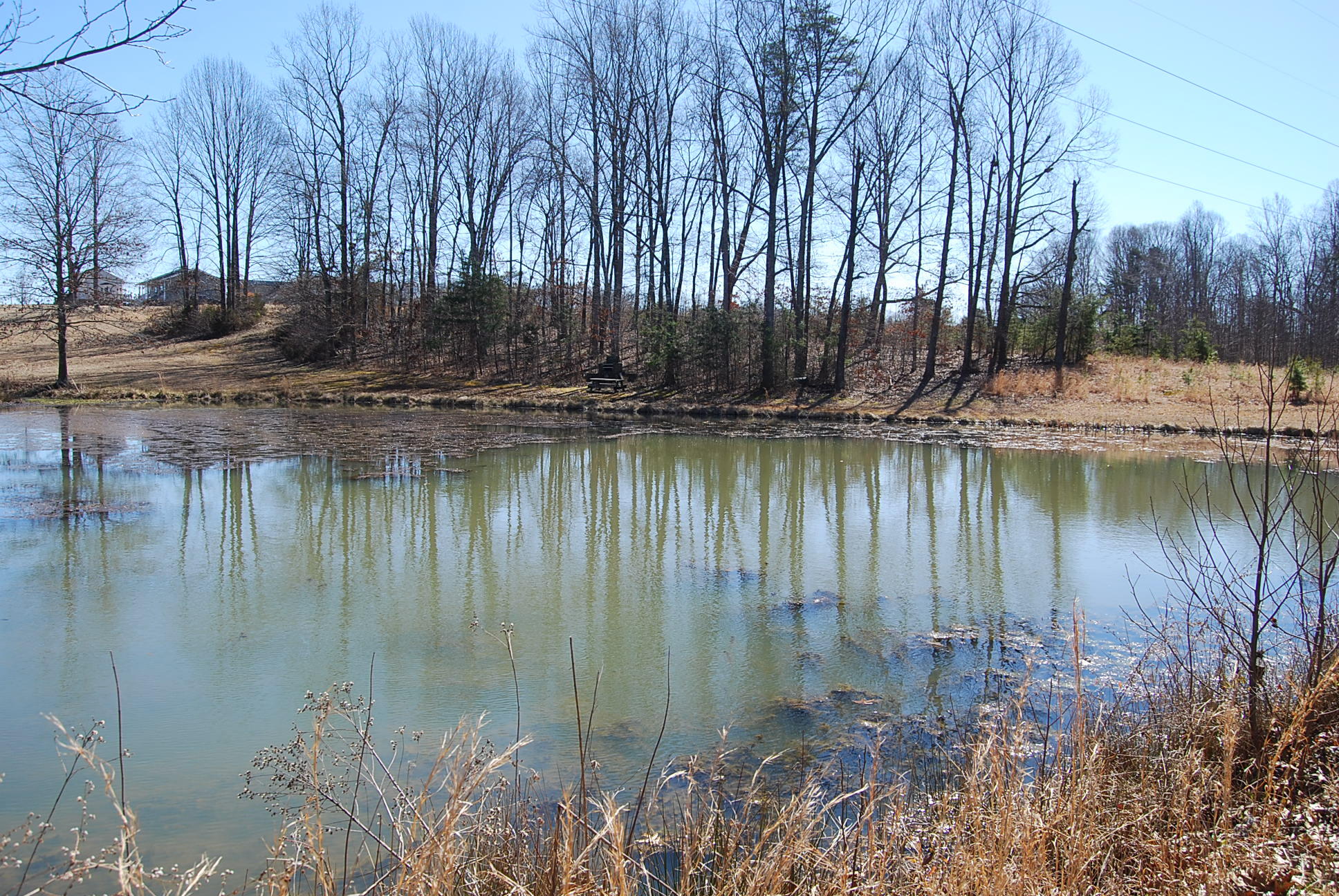 Lot 12 Bellevue Road Forest, VA 24551 - Photo 1 of 27 Pond