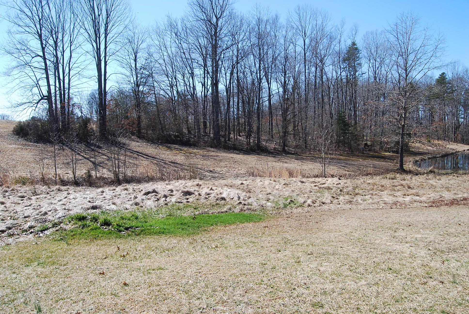Lot 12 Bellevue Road Forest, VA 24551 - Photo 2 of 27 DSC_0208