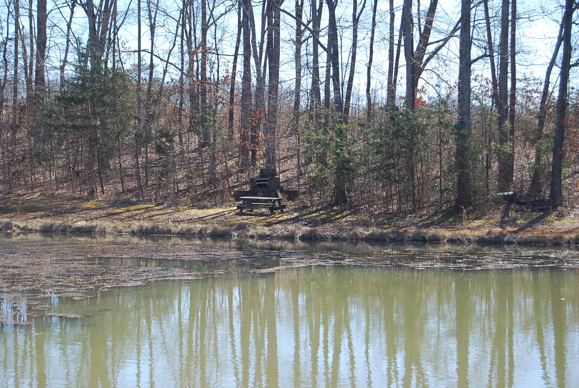 Lot 12 Bellevue Road Forest, VA 24551 - Photo 11 of 27 DSC_0217