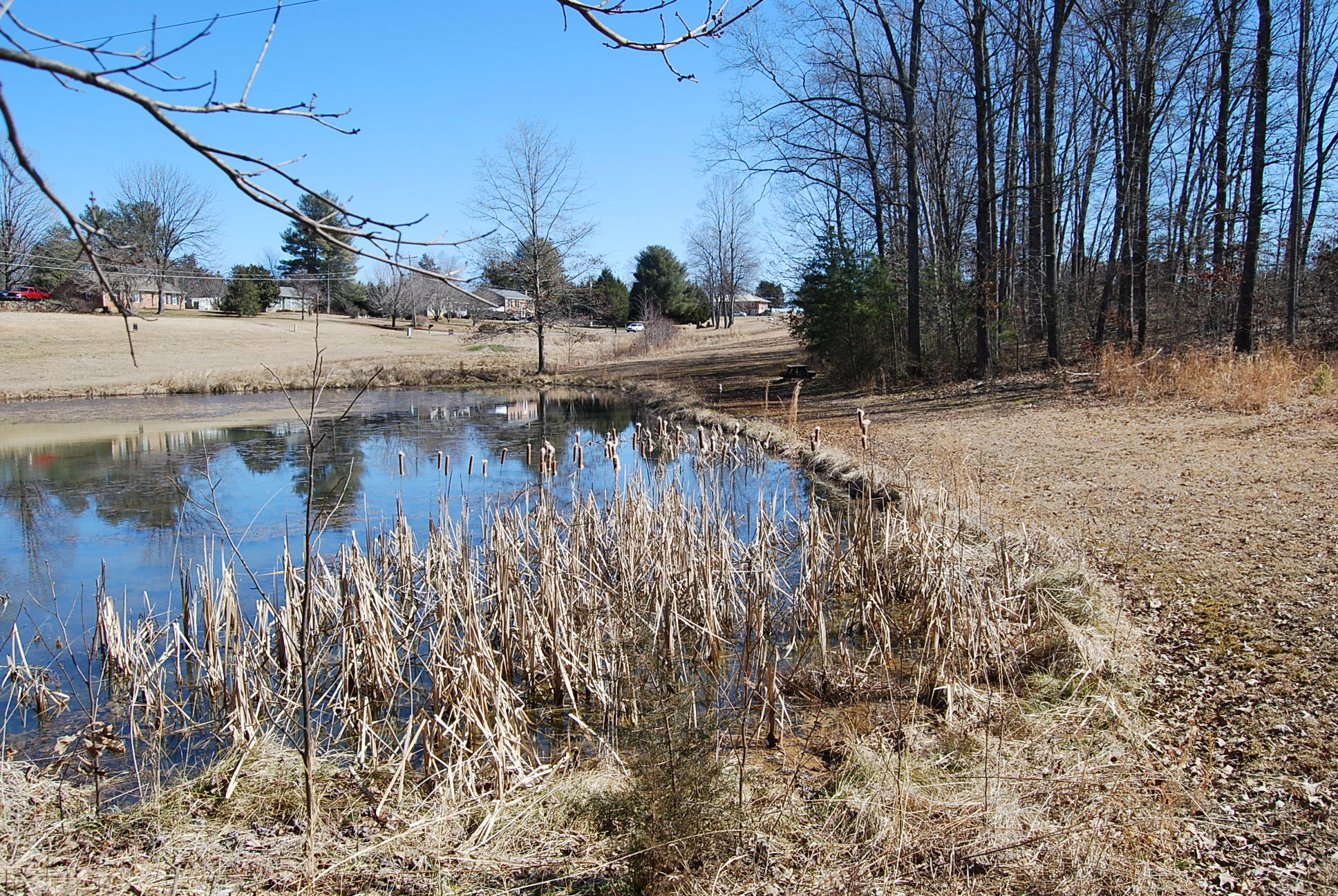 Lot 12 Bellevue Road Forest, VA 24551 - Photo 12 of 27 DSC_0218