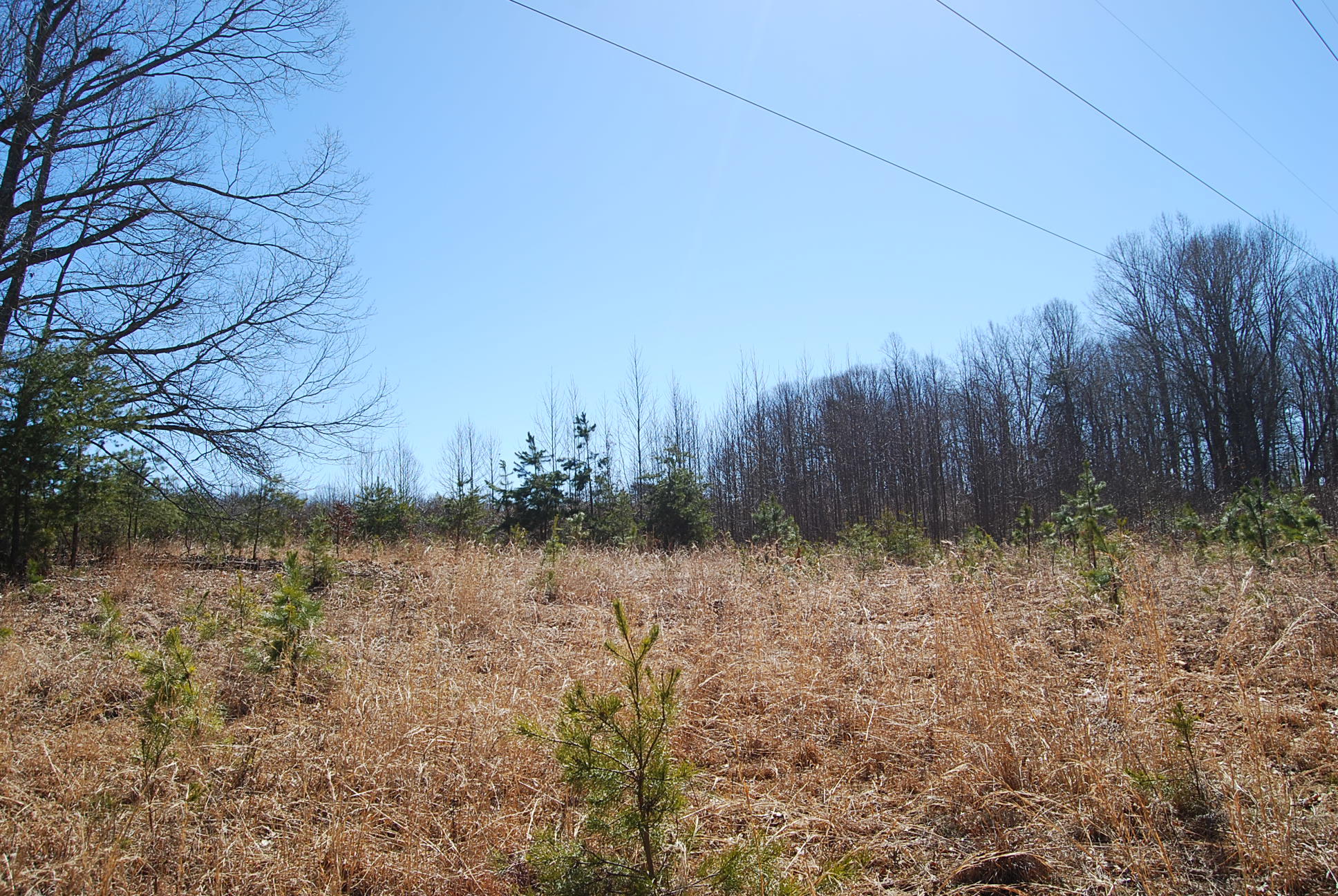 Lot 12 Bellevue Road Forest, VA 24551 - Photo 13 of 27 DSC_0219