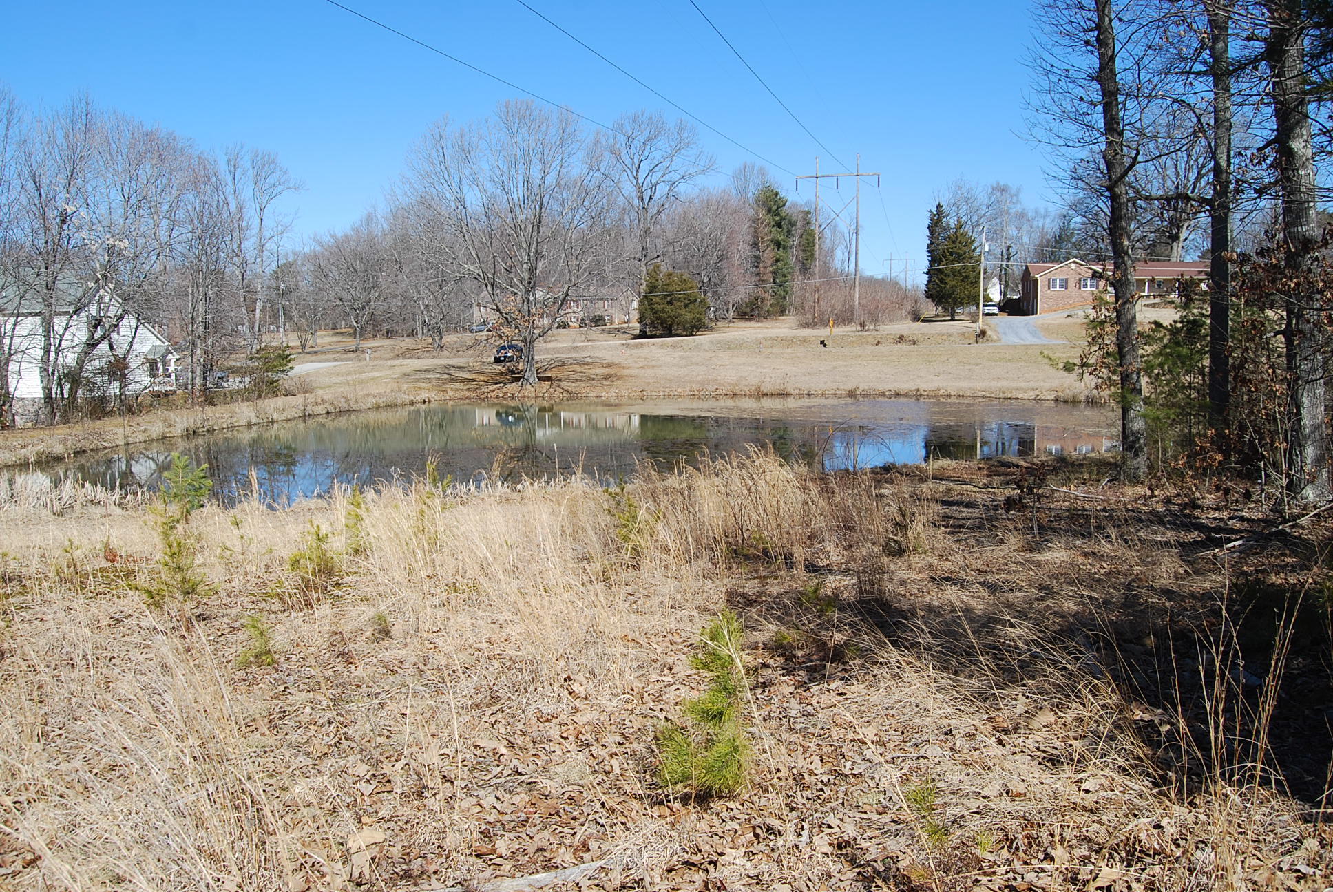 Lot 12 Bellevue Road Forest, VA 24551 - Photo 20 of 27 DSC_0224