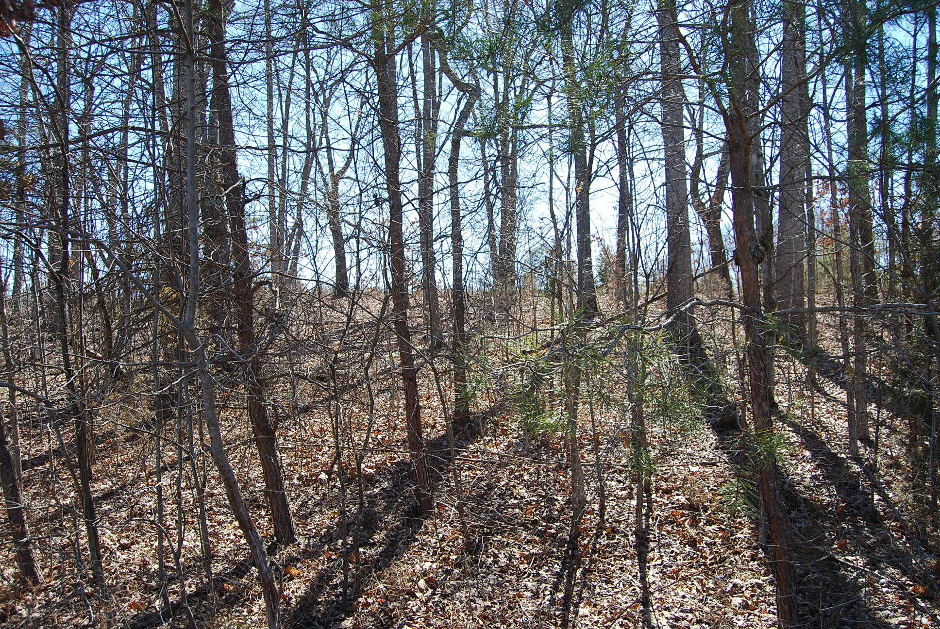 Lot 12 Bellevue Road Forest, VA 24551 - Photo 22 of 27 DSC_0228