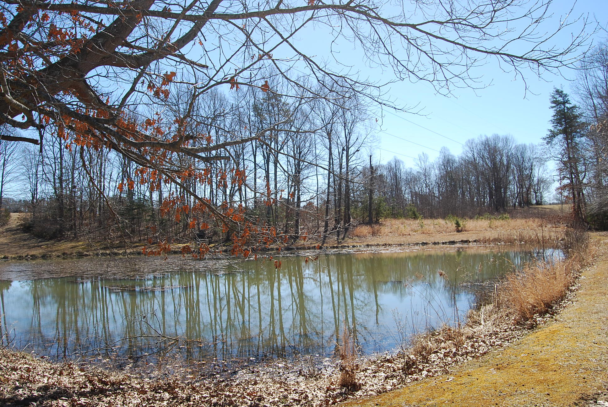 Lot 12 Bellevue Road Forest, VA 24551 - Photo 24 of 27 DSC_0230