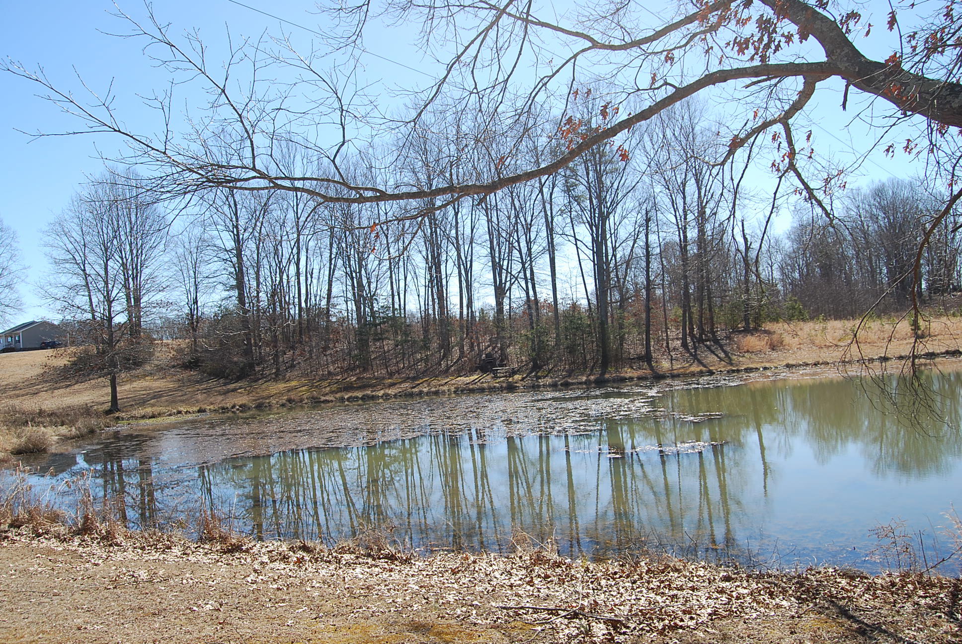 Lot 12 Bellevue Road Forest, VA 24551 - Photo 25 of 27 DSC_0231