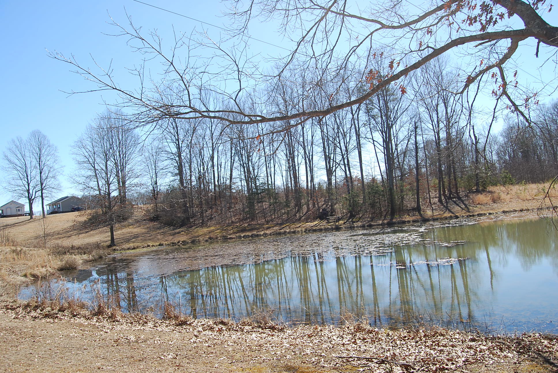 Lot 12 Bellevue Road Forest, VA 24551 - Photo 26 of 27 DSC_0232