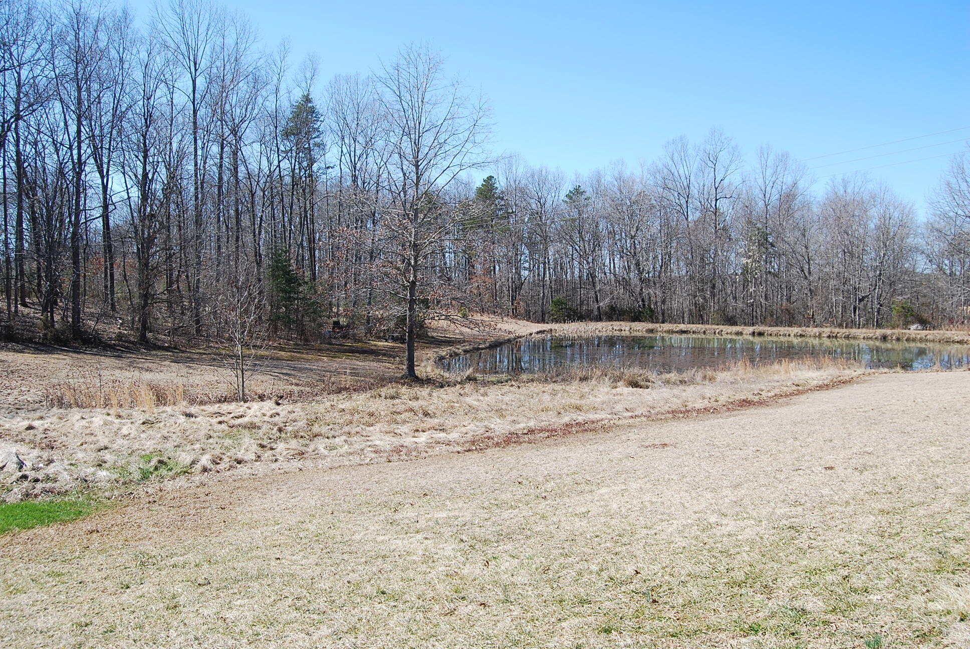 Lot 12 Bellevue Road Forest, VA 24551 - Photo 4 of 27 DSC_0210