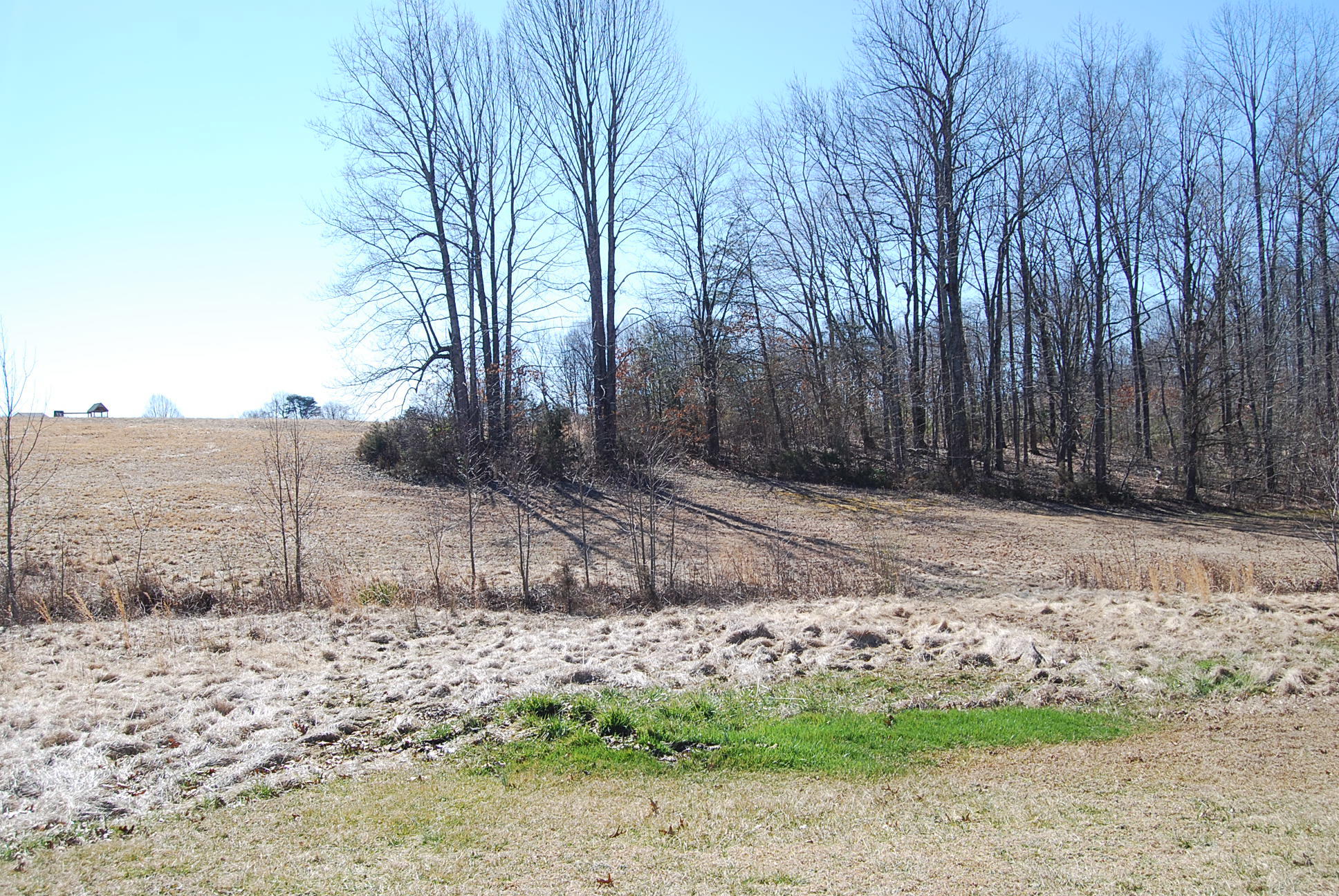 Lot 12 Bellevue Road Forest, VA 24551 - Photo 5 of 27 DSC_0211
