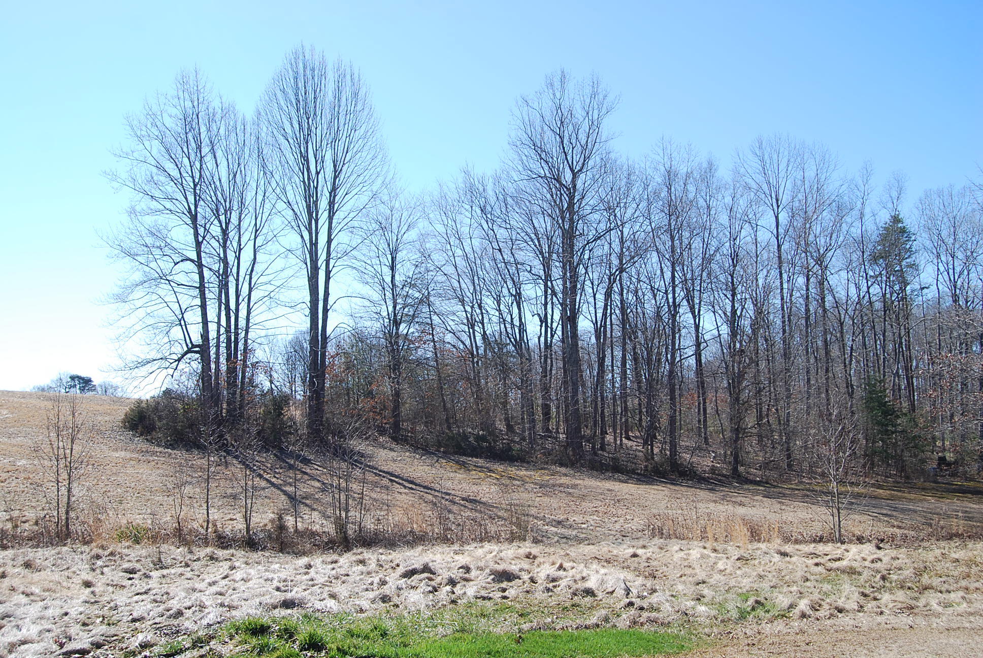 Lot 12 Bellevue Road Forest, VA 24551 - Photo 6 of 27 DSC_0212