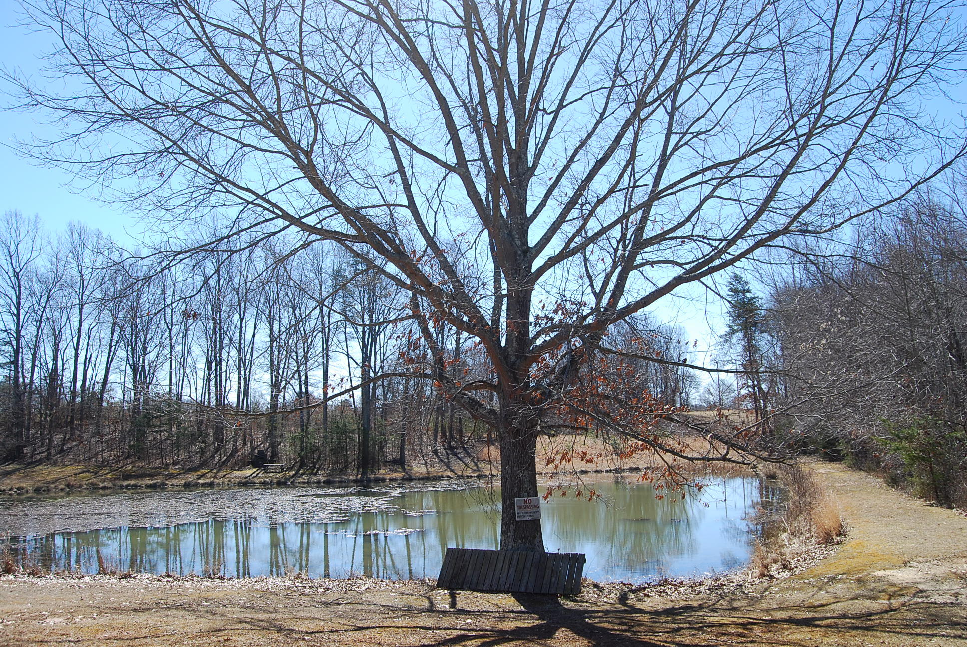Lot 12 Bellevue Road Forest, VA 24551 - Photo 8 of 27 DSC_0214